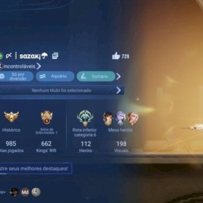 Conta nível 110 com várias skins