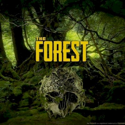 The forest - steam offline