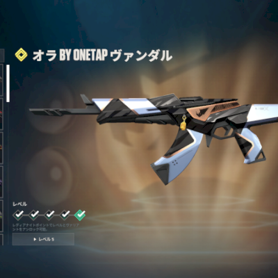 CONTA FA DE VALORANT COM DIVERSAS SKINS