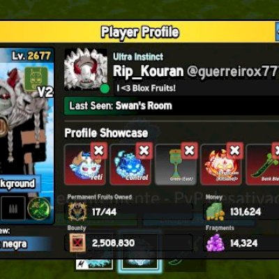 NESTA CONTA TEM BLOX FRUITS COM 17 FRUTA PERMANENTES E GAMEPASS! E OUTROS JOGOS.