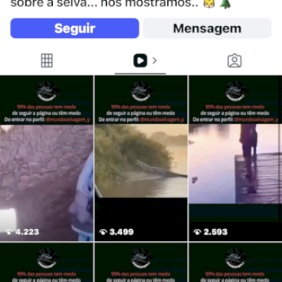 Conta de Instagram ,  orgânica potencial de crescimento
