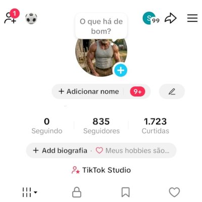 CONTA TIK TOK 835 SEG E 1,7K DE CURTIDAS (CONTAS TIK TOK)