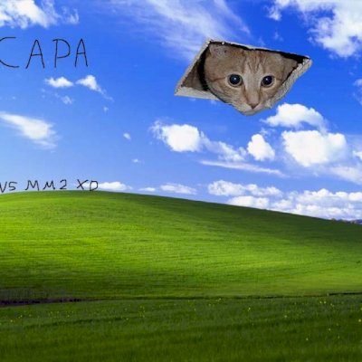 (MELHOR PREÇO) GODLYS / SETS / CHROMAS / HIGT TIERS / MM2 / MURDER MISTERY 2