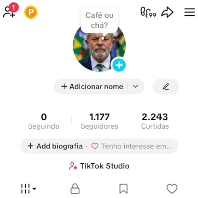 CONTA TIK TOK 1,1K DE SEG E 2,2K DE CURTIDAS (CONTAS TIK TOK)