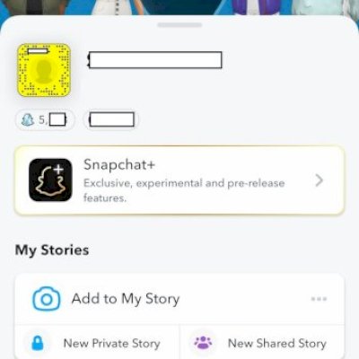 Snapchat americano 5k Score + Acesso ao email + Vendedor confiavel 2024