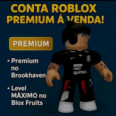 Conta Premium no brookhaven level max no blox fruits e tem Cdk gd human e skull