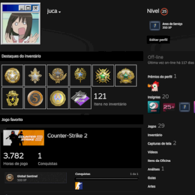Conta da Steam // CONTA COM 12 MEDALHAS E 3.700 HORAS DE JOGO