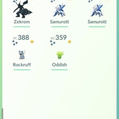 CONTA COM 2 SAMUROTT SHINY E 1 ZEKROM SHINY MAIS 2 PIKACHU FUNDO DE LOCALIDADE
