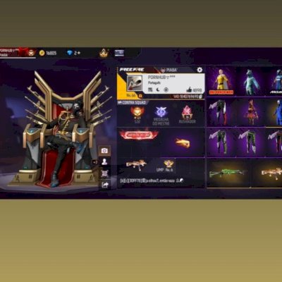 Vendo essa conta muito boa 🔥