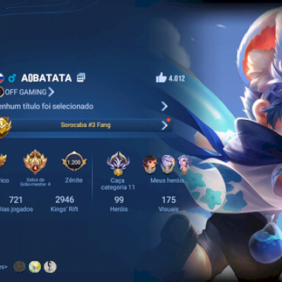 CONTA HOK 175 visual com 1000 fichas