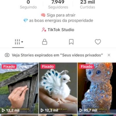 CONTA TIKTOK 🇧🇷 7K+ SEGUIDORES BR 🇧🇷 PROMOVER+SITE+LIVES+TROCAR NOME ✅