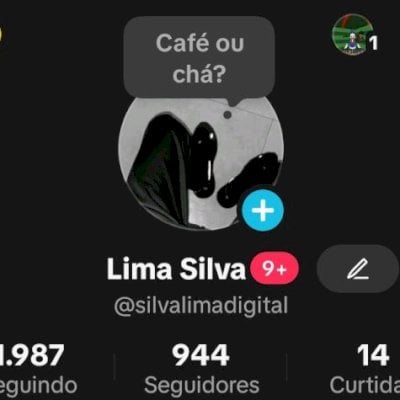 CONTA TIKTOK DE 2022 🌟 900 SEGUIDORES 🌟 PROMOVER+SITE+LIVES+TROCAR NOME ✅