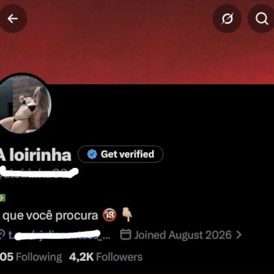 Conta twitter 4k seguidores aquecida nicho hot