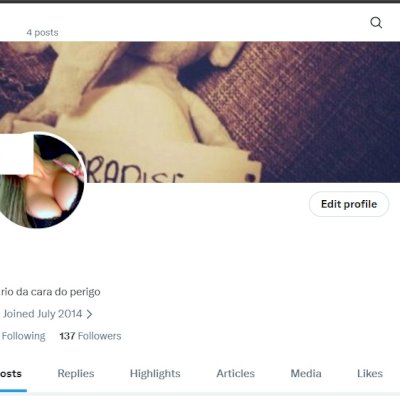 2014 Conta do Twitter Antiga X + LGBT feminino 18+ Acesso ao email + seguidores