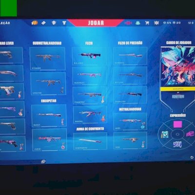 Conta valorant FA 14 skins 3 pacotes e skin de vandal com efeito