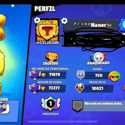 10k pontos na ranked,rank 35 antigo,pins e skins raras de passes antigos(negocio