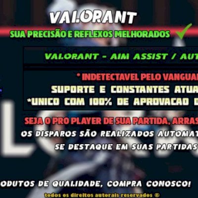 Valorant - Auto Shoot - Aim Assist