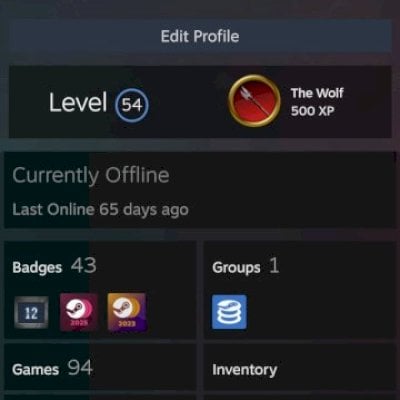 Conta Steam 12 Anos | Level 54 | 111 Jogos AAA | Sem VAC