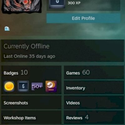 CONTA STEAM LEVEL 21, 6 ANOS DE SERVIÇO, SEM BAN VAC.