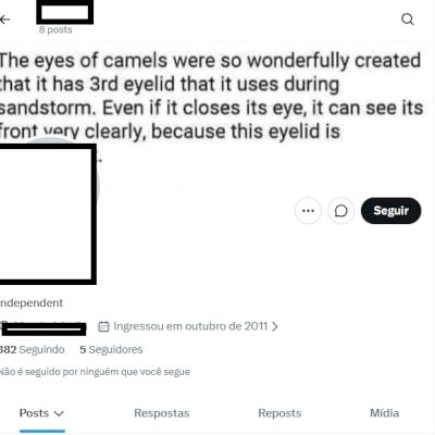 Twitter 2011 + Perfil mais seguro com 2FA + Acesso + Seguidores + Veja fotos