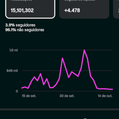 conta 4.800 seguidores organico engajada