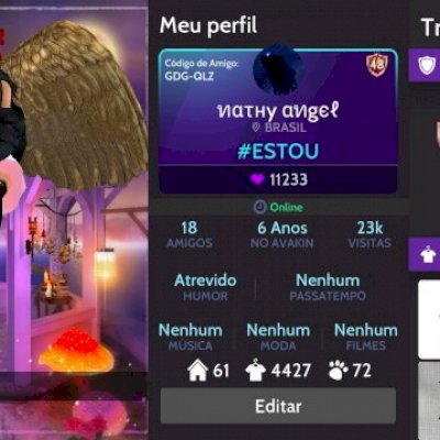 CONTA DE AVAKIN MAIS DE 4MIL DE ROUPAS E MUITO MAIS