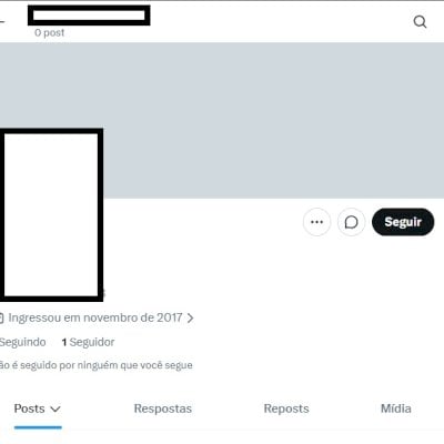 Twitter 2017 + Conta feminina/masculina + perfil confiavel + 2FA