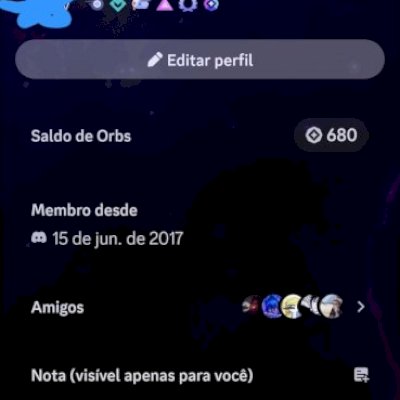 Conta Apoiador inicial Discord (pig)