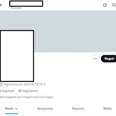 Twitter 2023 seguidores + Conta pessoa + Perfil acesso ao email + email seguro
