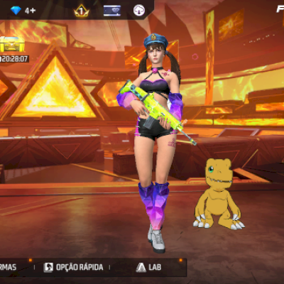 conta iniciante nivel 17 diamante 2