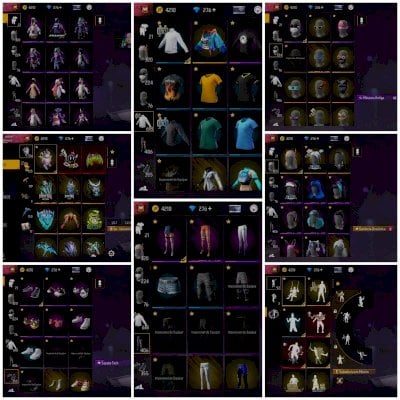 Conta de ff focada no feminino.