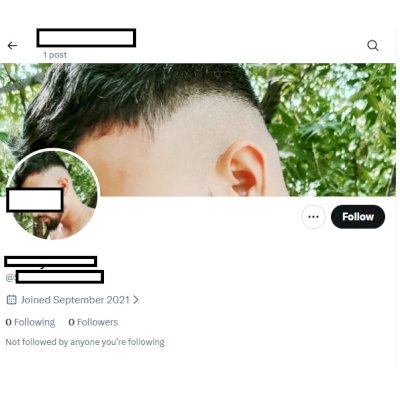 Twitter 2021 + Conta feminina + Foto de perfil e acesso ao email + Hotmail