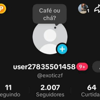 CONTA TIKTOK 2K SEGUIDORES 🌍 PROMOVER+SITE+LIVES+TROCAR NOME ✅ SEM SHOP ❌