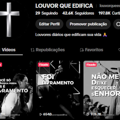 CONTA TIKTOK 42 MIL SEGUIDORES (TIKTOKSHOP LIBERADO)