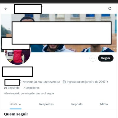 Twitter 2017 + Conta feminina + perfil confiavel, acesso ao email + conta antiga