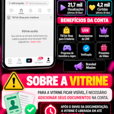 TikTok Shop BR | 2,8k seguidores |  Pronta para Crescer