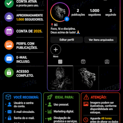 🟣 CONTA INSTAGRAM 2025 1K DE SEGUIDORES