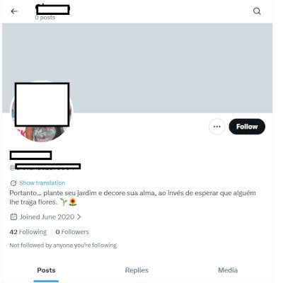 Twitter 2020 + Conta feminina + Foto de perfil e acesso ao email + Acesso total