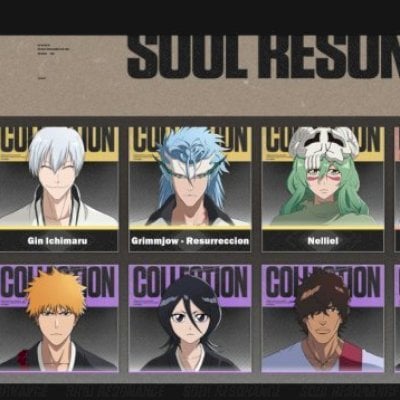 bleach soul resonance