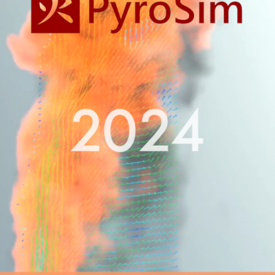 PyroSim 2024