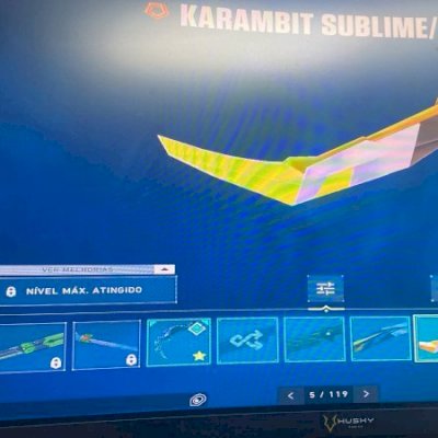 conta de valorant mais de 700 reais gastos