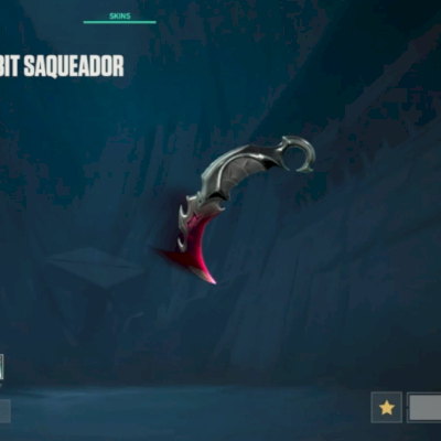 Conta valorant full acesso com dados de rec