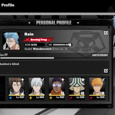 Bleach Soul Resonance