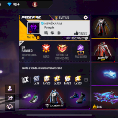 Conta gemada, nível 72, com mais de 13 k de curtidas