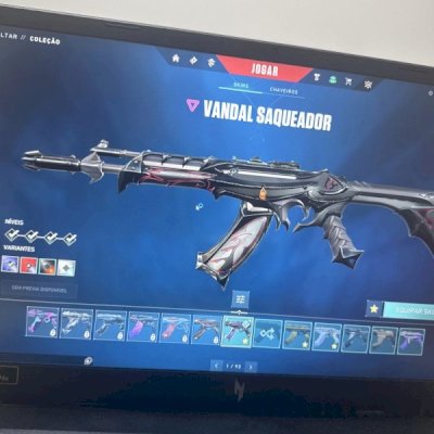 Vendo conta de valorant com muitas skin e 3 passes completos
