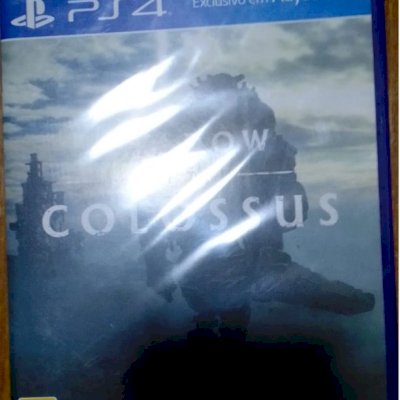 Shadow of the Colossus