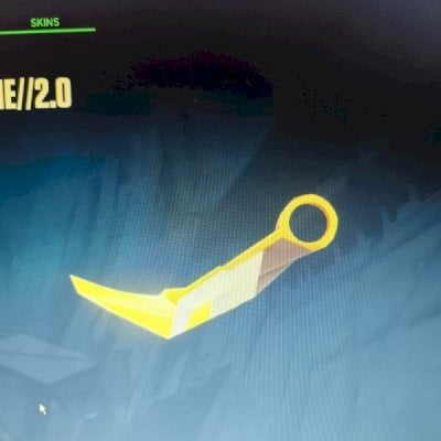 Canta valorant com duas skins