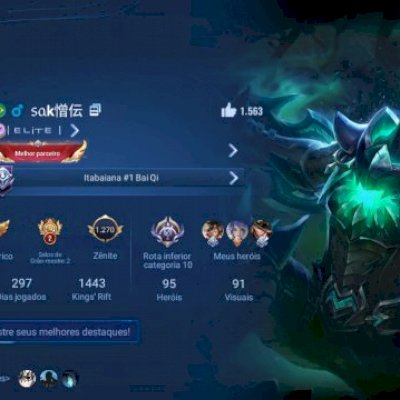 vendo conta de hok (140 reais gastos em passes e fichas)