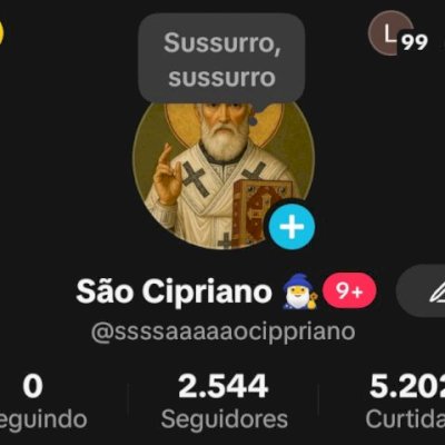 CONTA TIKTOK 2000 SEGUIDORES BR 🇧🇷 PROMOVER+SITE+LIVES+TROCA NOME ✅ SEM SHOP ❌
