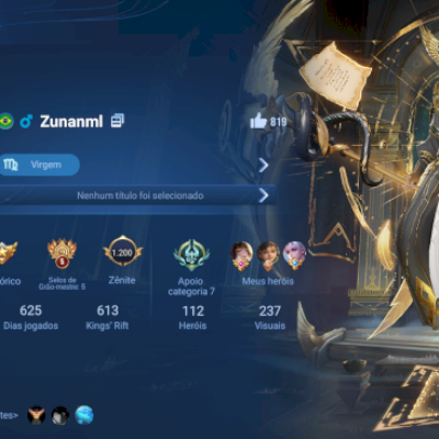 Conta hok no mestre com todos os heróis disponíveis e 237 skins